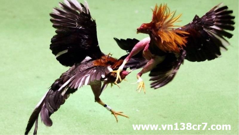 Các hoạt động dịch vụ được đánh giá cao