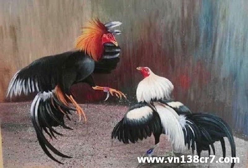 Nơi diễn ra nhiều trận đá gà đỉnh cao