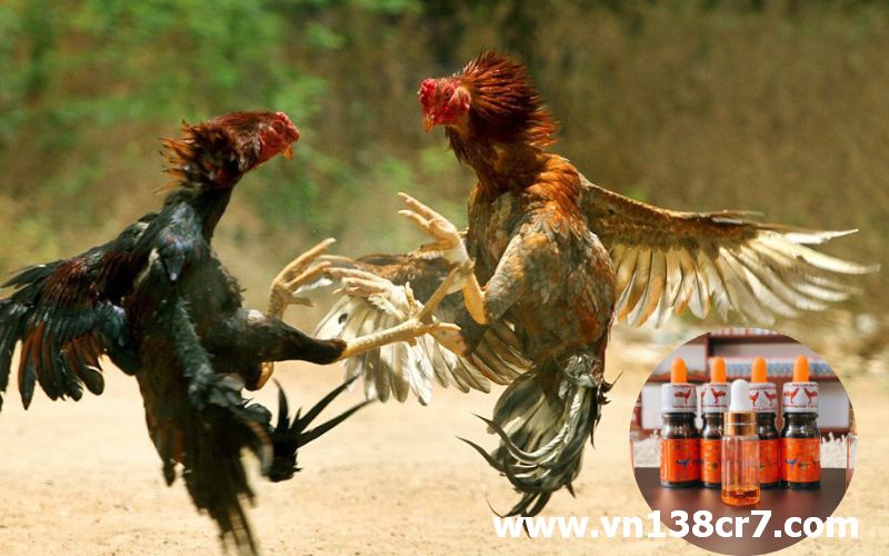 Hãy test thuốc với liều lượng nhỏ trước khi sử dụng.